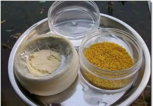 钓鱼饵料储存罐的使用方法详解