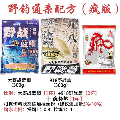 鱼王钓鱼饵料怎么样用,从入门到精通的完整指南