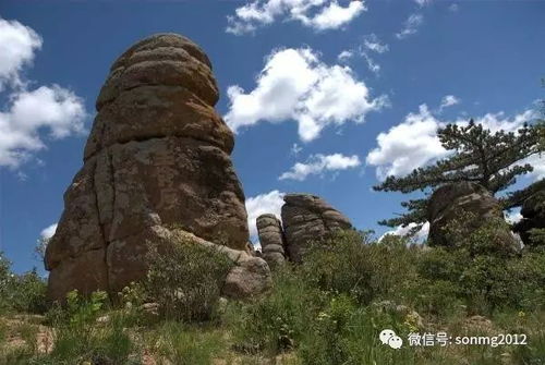 天沐河钓鱼饵料怎么样?深度评测与选购指南