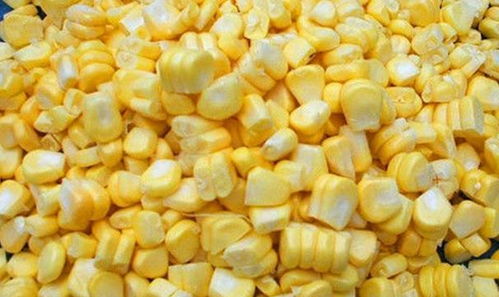 钓鱼饵料粘玉米的美味制作指南