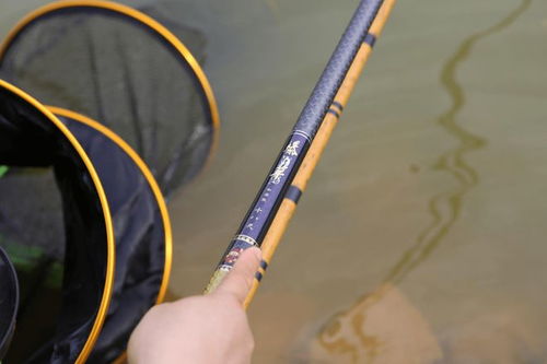 钓鱼竿大头鱼饵料配制方法详解 钓鱼竿大头鱼饵料配制方法详解