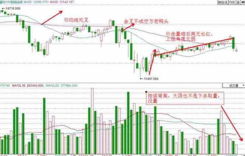 博时市场点评10月23日:两市翻红上涨,成交继续缩量