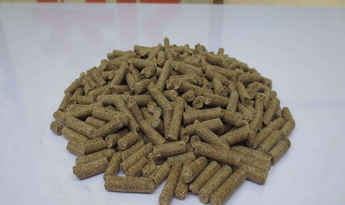 四季变幻,鱼饵随心调,钓鱼人必学的四季饵料配方 四季变幻,鱼饵随心调,钓鱼人必学的四季饵料配方