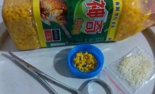 麦麸变饵料，鱼儿抢着咬！钓鱼人必学的自制饵料秘籍