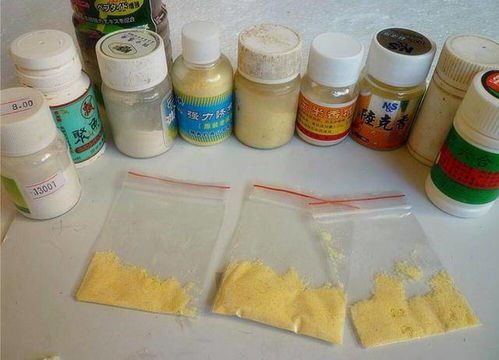 钓鱼饵料生玉米怎么办?这些处理方法让你鱼获翻倍!