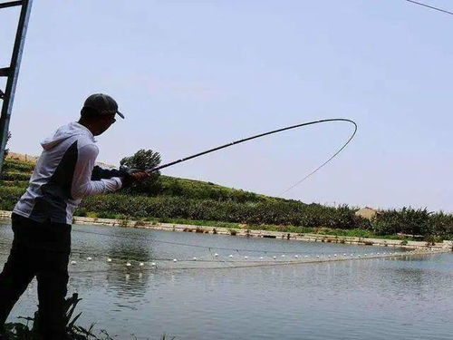没软饵怎么办？5种自制钓鱼饵料，让你照样钓大鱼！