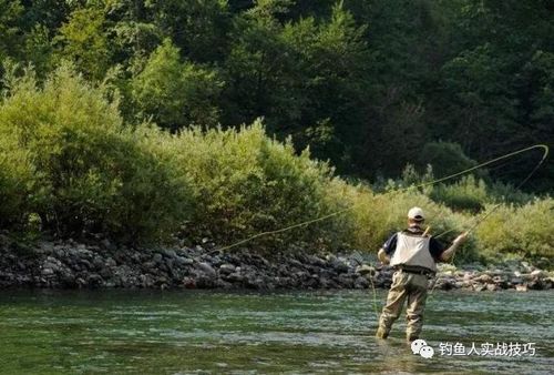 江河流水钓鱼饵料的科学制作与自然融合之道