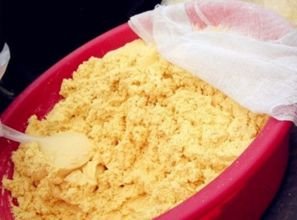 凤鸣钓鱼饵料怎么样?深度评测与实战体验