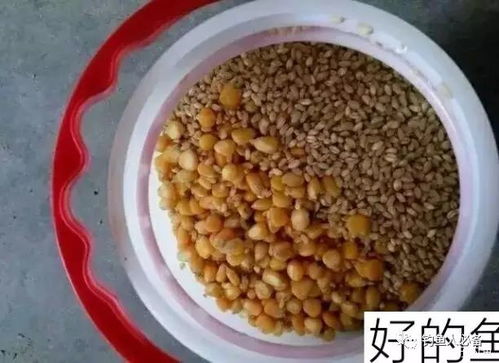 如何用瓶子制作钓鱼饵料，简单易行的图文教程
