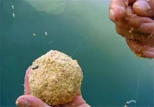 野钓饵料酸臭味的终极解决方案