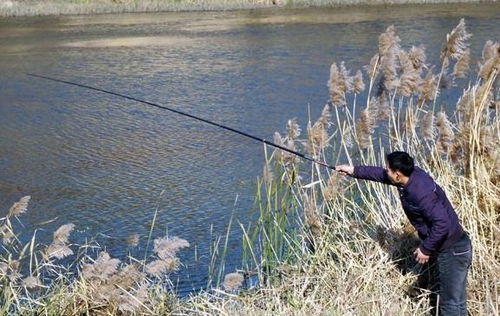 钓鱼饵料怎么沉底快一点?垂钓高手必看的实用技巧!