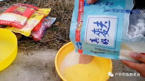 泡米饵料怎么配比好?这份钓鱼高手秘籍请收好!
