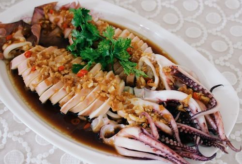 鱿鱼粉开饵全攻略,从入门到精通的实战秘籍 鱿鱼粉开饵全攻略,从入门到精通的实战秘籍