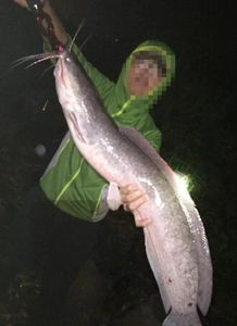 揭秘!专业钓手都在用的自制虾饵配方与制作技巧 揭秘!专业钓手都在用的自制虾饵配方与制作技巧