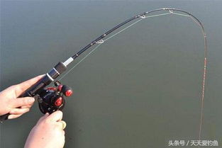 野钓小鱼饵料选择与钓法全攻略 野钓小鱼饵料选择与钓法全攻略