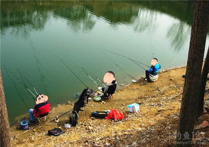 冬季钓鱼必看,腥饵的正确使用方法 冬季钓鱼必看,腥饵的正确使用方法