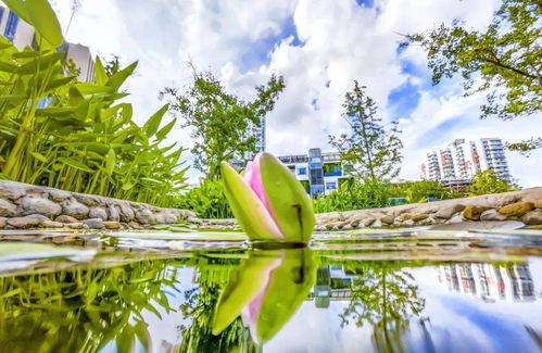 小菜鸟钓鱼饵料怎么用的?这份超详细指南请收好! 小菜鸟钓鱼饵料怎么用的?这份超详细指南请收好!