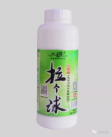 钓鱼饵料拉大球怎么开饵,从入门到精通的完整指南