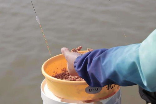 钓鱼饵料很黏怎么处理好?专业钓手的7个实用技巧