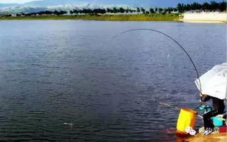 秘制不散开饵料配方,钓鱼不再空手而归! 秘制不散开饵料配方,钓鱼不再空手而归!
