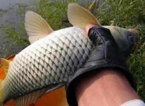 钓鱼饵料稀了怎么办？5种实用补救方法让你鱼获翻倍