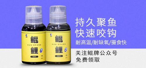 黑坑钓鱼饵料使用全攻略，如何让鱼儿疯狂咬钩？