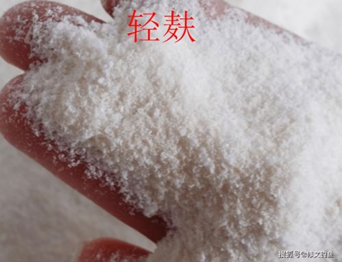 冬季钓鱼饵料开饵全攻略