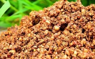 秋日钓场的秘密武器，桂花香饵料的妙用