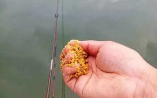 大神自然钓鱼饵料怎么样？深度评测与用户反馈