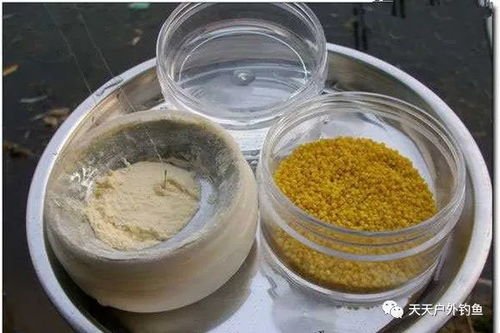 钓鱼饵料粘粉怎么调配好？掌握这些技巧让你的鱼获翻倍！