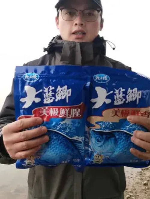 新品天天钓鱼饵料怎么样？深度评测与用户反馈