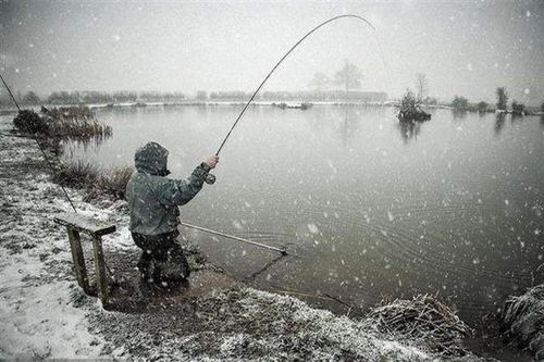 钓鱼饵料的名字怎么取的
