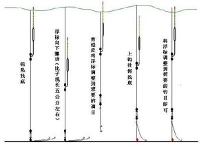 钓鱼饵料漂在水中怎么办?全面解析与实用解决方案 钓鱼饵料漂在水中怎么办?全面解析与实用解决方案