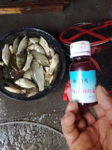 冬日海钓，饵料选择全攻略—如何在寒冷季节提升钓鱼成功率