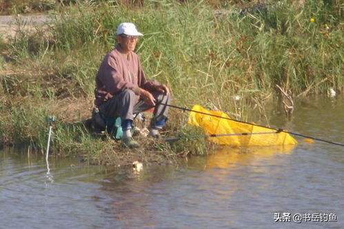 垂钓高手的秘密武器，钓鱼前如何制作出诱鱼上钩的完美饵料