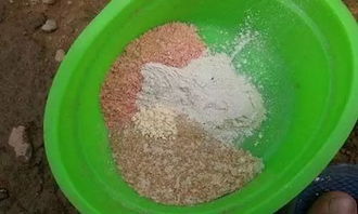 钓鱼饵料和小药的选择秘籍