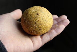 泡沫钓鱼饵料的制作与使用技巧