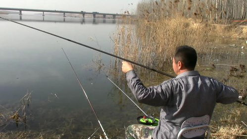 诺亚竿钓鱼饵料选择秘籍，提升你的垂钓成功率