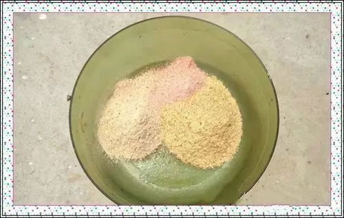 碎玉米泡制钓鱼饵料的黄金比例与实战技巧