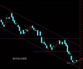 投资者权衡供应过剩担忧与制裁风险，油价小幅上涨