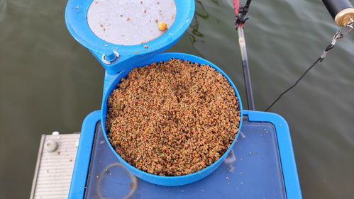 小型钓鱼饵料盘的使用方法与技巧,附视频教程