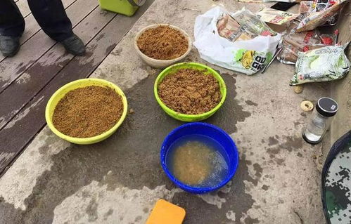 钓鱼饵料腐竹的使用方法