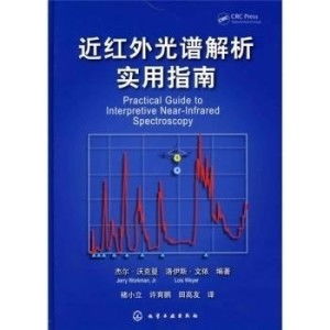电白海钓饵料怎么样，深度解析与实用指南