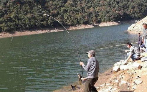 钓鱼饵料入水易化怎么办,解决方法与技巧 钓鱼饵料入水易化怎么办,解决方法与技巧