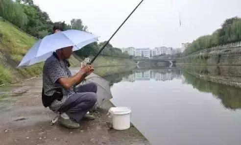 上庄钓鱼饵料怎么样?深度解析与实战评测 上庄钓鱼饵料怎么样?深度解析与实战评测