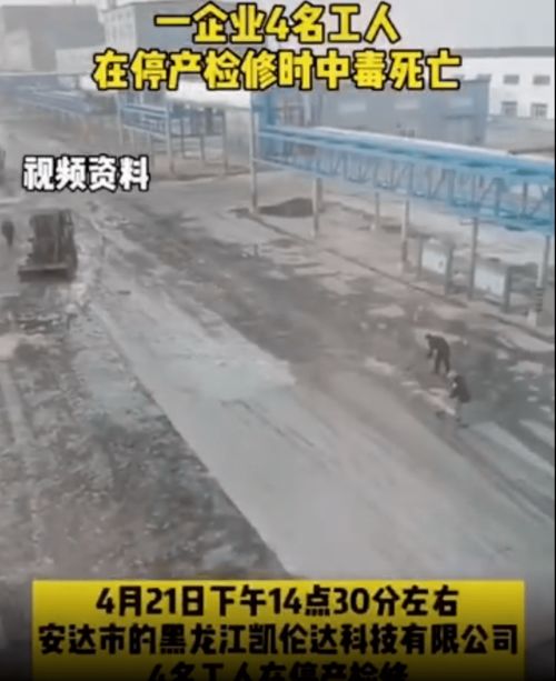 钓鱼饵料误食危机,紧急处理与预防指南 钓鱼饵料误食危机,紧急处理与预防指南