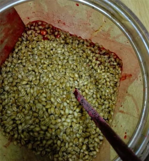 草梅粉钓鱼饵料的使用方法 草梅粉钓鱼饵料的使用方法