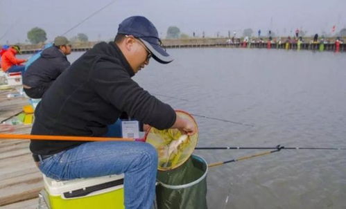 路边钓鱼饵料配方大全,如何配制有效的钓鱼饵料 路边钓鱼饵料配方大全,如何配制有效的钓鱼饵料