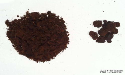 麝香酒泡制钓鱼饵料的详细教程,提升钓鱼成功率的秘诀 麝香酒泡制钓鱼饵料的详细教程,提升钓鱼成功率的秘诀