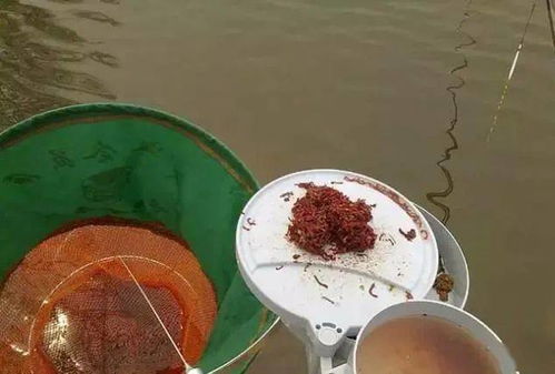 面粉钓鱼饵料调漂全攻略,从零开始掌握技巧 面粉钓鱼饵料调漂全攻略,从零开始掌握技巧